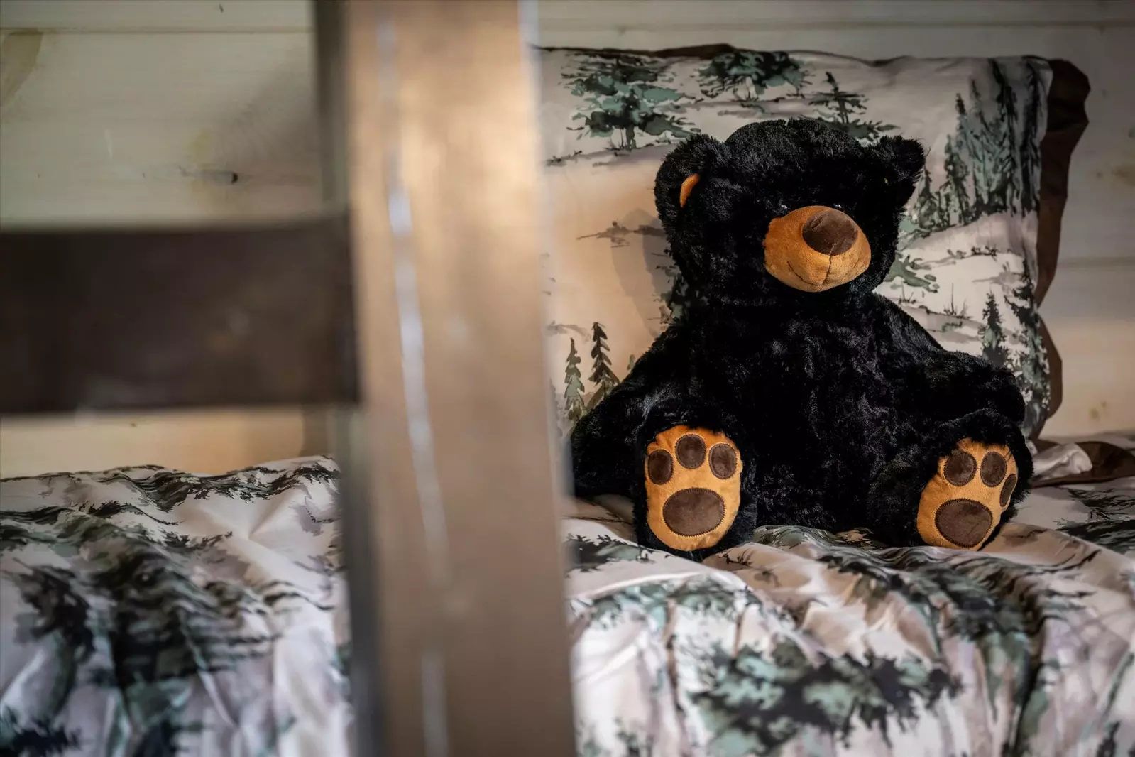 Blaid Bear's Cabin