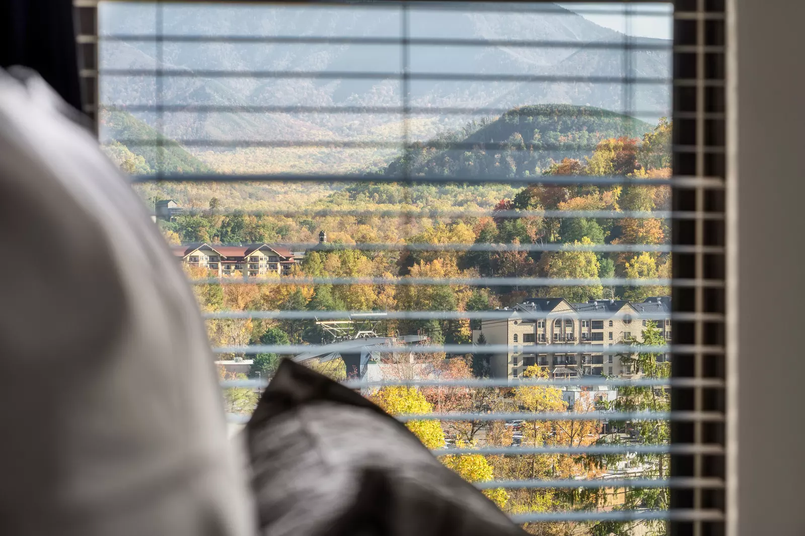 The Overlook at 738 - Unit 5