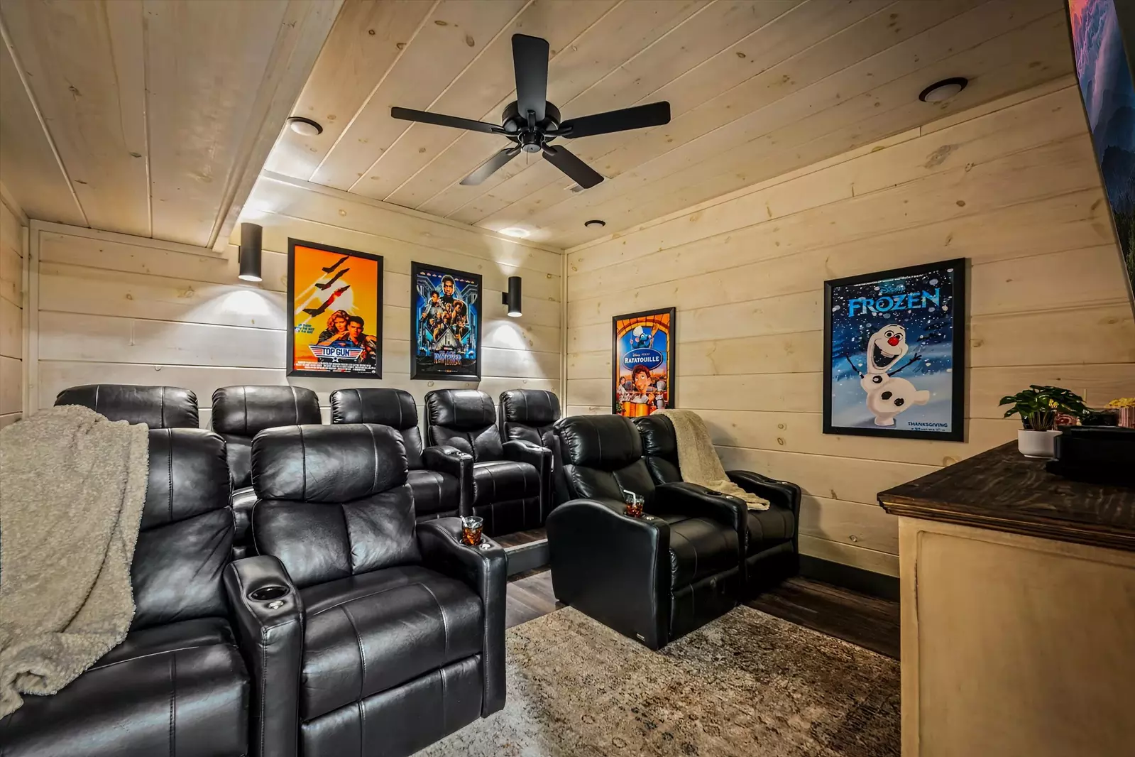 cabin with theater room
